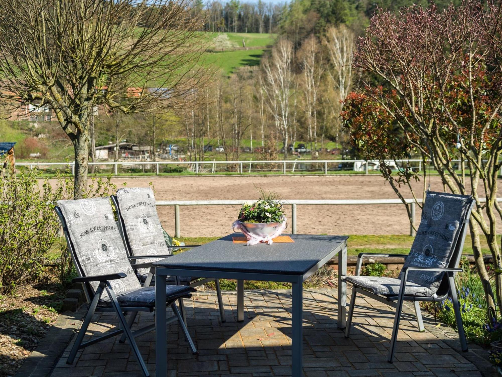 Apartment In The Odenwald With Terrace Mossautal Εξωτερικό φωτογραφία